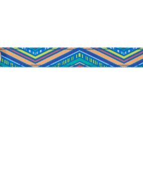Top Paw® Retro Striped Dog Collar